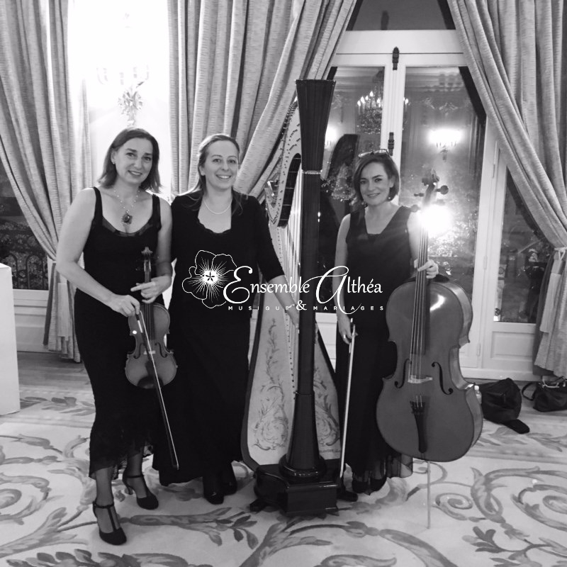 Seine maritime&nbsp;Rouen &nbsp;Concert&nbsp;Autre&nbsp;Animations musicales harpe violon cello et voix